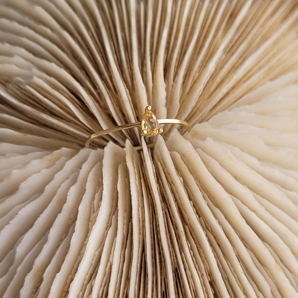 ANEL PIETRA GOTA CITRINO OURO 18K